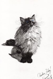 cheekie baby, 2008, (muste paperille) tekijältä Vincent Alexander Booth